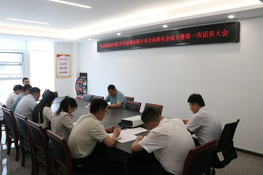 城区开发公司召开团支部委员会成立暨第一次团员代表大会